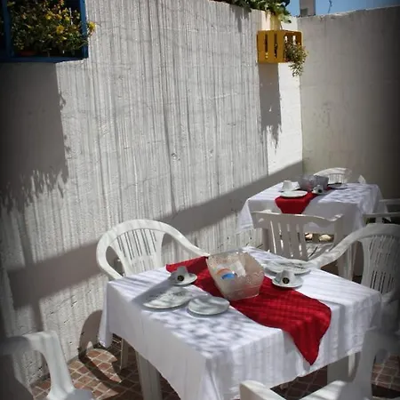 Magnolia アレーツィオ