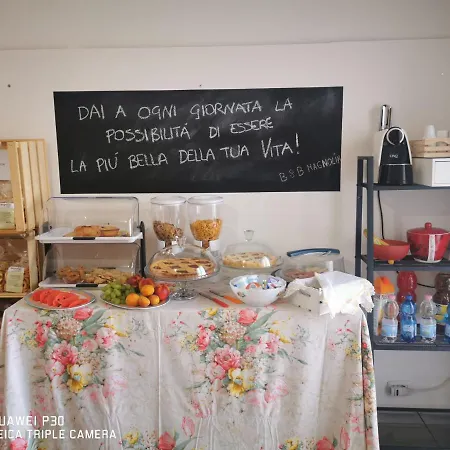 Magnolia アレーツィオ