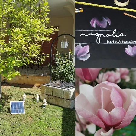 Magnolia Bed & Breakfast