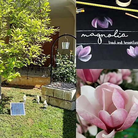 Magnolia 3*