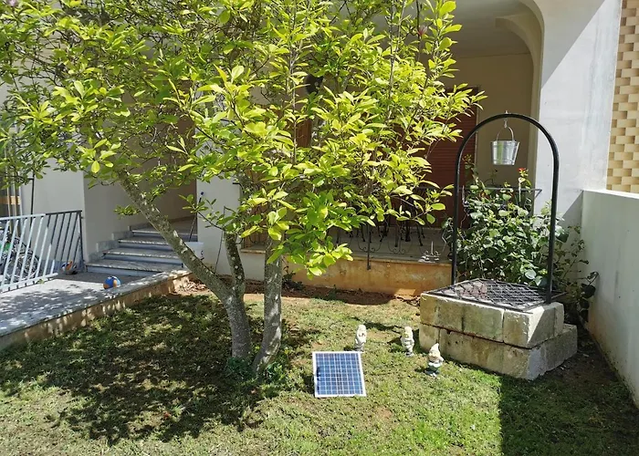 Magnolia 3* Алецио