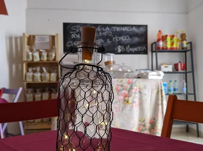 Magnolia أليزيو