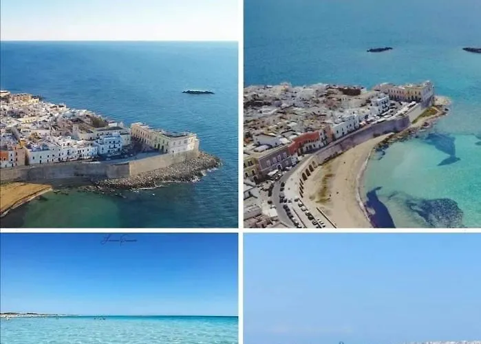 Magnolia فندق مبيت وإفطار