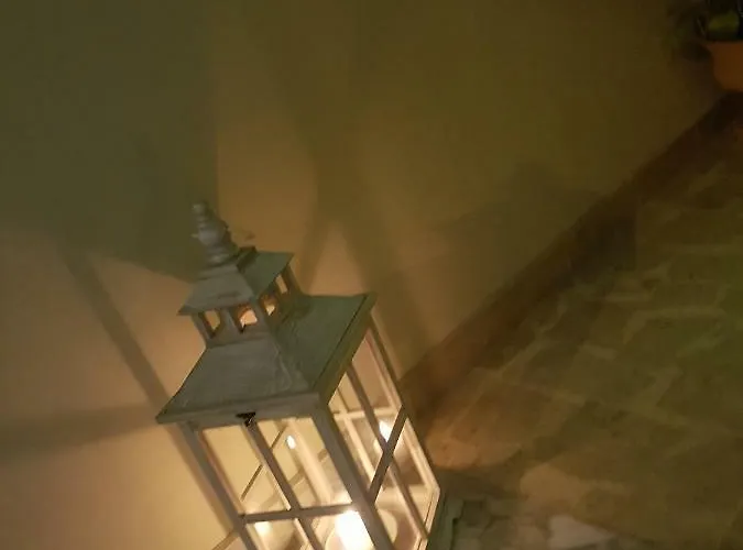 Magnolia أليزيو