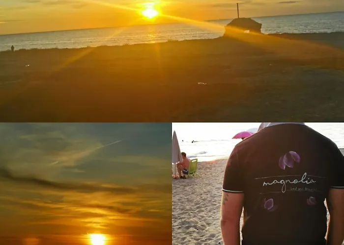 Magnolia أليزيو